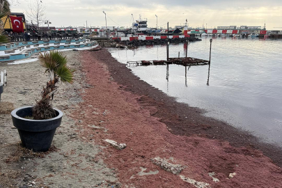Tekirdağ'da sahil kırmızıya büründü