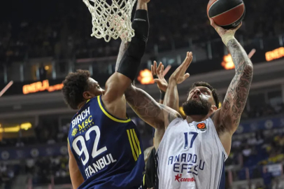 Fenerbahçe Beko, Anadolu Efes'i sahadan sildi