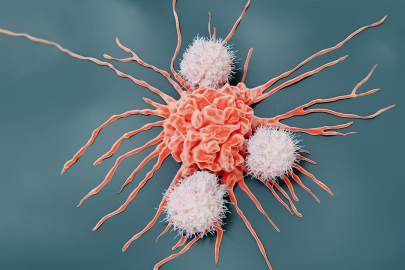 İspanya'da araştırmacılar farelerde pankreas kanserini tedavi etti