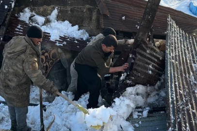 Hakkari’de ahırın çatısı çöktü: 2 hayvan telef oldu