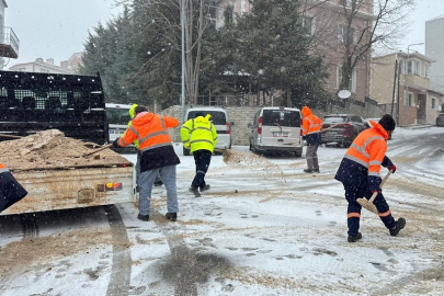 Kırklareli'nde solüsyonla ilaçlama ve tuzlama çalışmaları