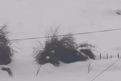 Şırnak’ta çığ düşme anı kamerada