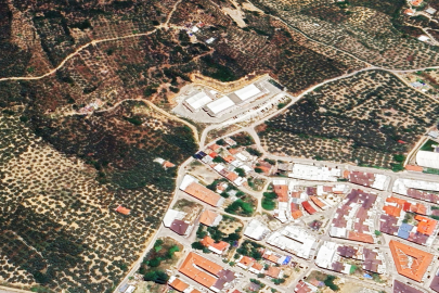 Bursa Gemlik'teki zeytinlikler için imar düzenlemesi! Parsel parsel duyuruldu