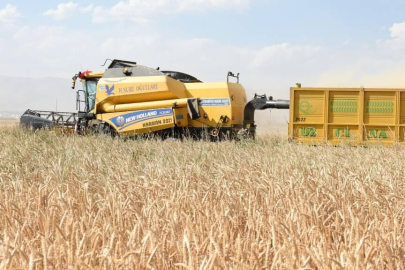 Girişimcilere 114,4 milyon lira hibe aktarıldı