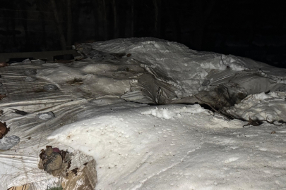 Şırnak’ta dev kayalar köye düştü, 30 hayvan telef oldu