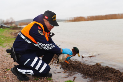 Bursa'da kaçak avcılara binlerce TL ceza kesildi!