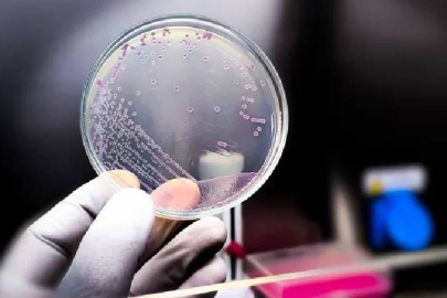 Yapay zekâ ilk kez sıfırdan virüs tasarladı