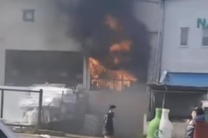 Bursa'da yangını film izler gibi izlediler!