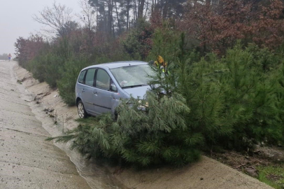 Çanakkale'de yoldan çıkan otomobil ağaca çarptı; 2 kişi yaralandı