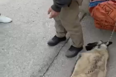 Ankara'da kamyonetin arkasına köpeği bağlayıp sürükleyen sürücü gözaltına alındı