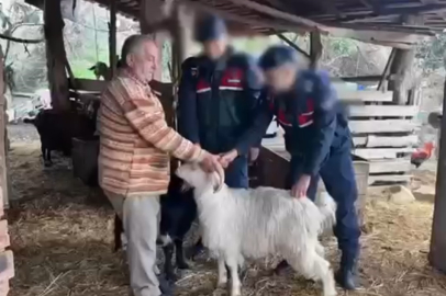 Antalya'da küçükbaş hayvan hırsızlığı yapan 3 şüpheli tutuklandı