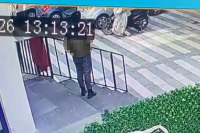 Niğde'de kedinin çuvala konularak uzaklaştırıldığı görüntülere tepki