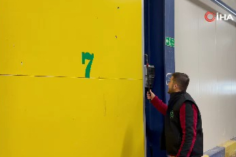 Bursa'da yetiştirilen dev kiviler ağırlıklarıyla rekor kırdı