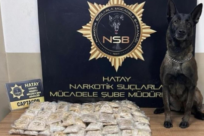 Zeytinyağı tenekelerinden 100 bin uyuşturucu hap çıktı