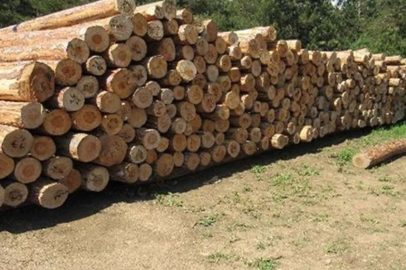 ORMAN EMVALİ İSTİFLEME İŞİ