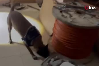 İstanbul Avcılar'da kadının cinsel istismara uğradığı adreste 51 kilogram uyuşturucu bulundu