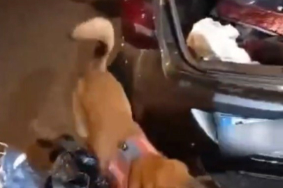 Osmaniye'de yedek lastikten 2 kilo esrar çıktı