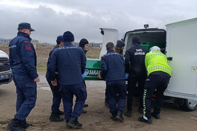 Sakarya'da sahilde bulunan cesetle ilgili yeni detaylar ortaya çıktı