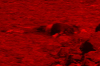 Çanakkale’de karaya vurmuş erkek cesedi bulundu