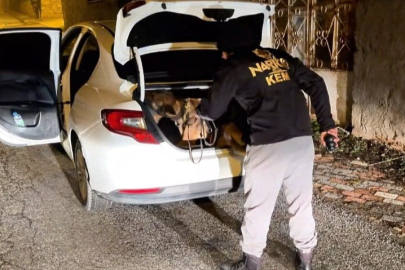 Yozgat’ta 581 adet uyuşturucu hap ele geçirildi