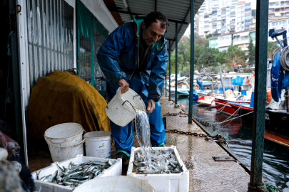 Bursa Büyükşehir'den balıkçılara hibeli mazot müjdesi!