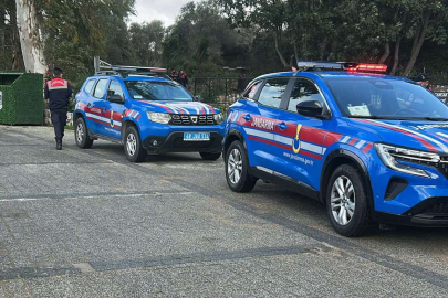 Muğla Bodrum'da iki köpeğin silahla vurulduğu iddiası