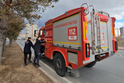 Kayseri'de şiddetli rüzgar ağacı kökünden söktü