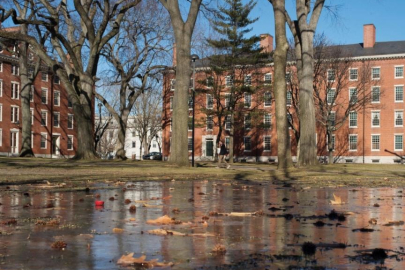 ABD'de federal hükümet, öğrenci kabul süreçlerindeki verileri paylaşmadığı gerekçesiyle Harvard'a dava açtı