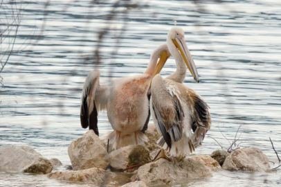 Bursa'da kuraklıkla boğuşuyordu: Yağışlarla yeniden küçük Venedik oldu!