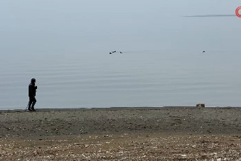 Bursa'nın incisi İznik Gölü'nde kuraklık alarmı! Yağışlara rağmen...