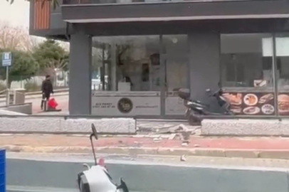 Çanakkale'de fırtına ağaçları devirdi