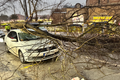 Edirne’de fırtına ağaçları devirdi