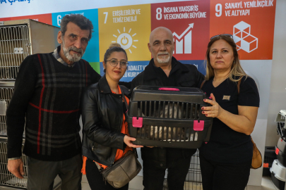 Bursa'da can dostlara sıcak yuva