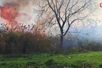 Bursa İznik'te rüzgarla birlikte sazlık yangını büyüyor