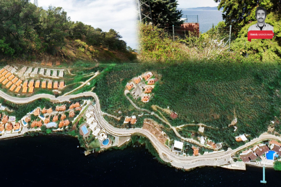 Bursa Mudanya'da deniz kenarındaki dev zeytinlikler hakkında imar kararı! Parsel parsel...