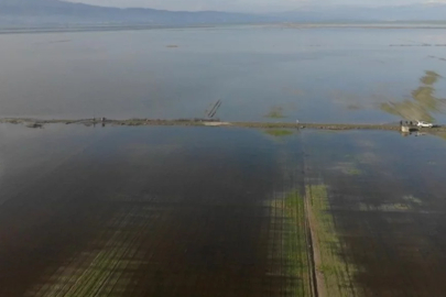 Kahramanmaraş'ta yağış sonrası binlerce dönüm tarım arazisi su altında kaldı