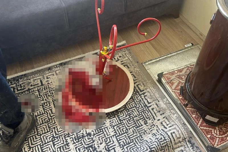 Kırşehir'de şizofreni hastası olduğu iddia edilen şahıs, babasını bıçaklayarak öldürdü