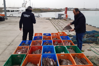 Sakarya'da kaçak avlanan 850 kilogram kalkan balığına el konuldu