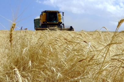 Tarım ÜFE ocakta aylık bazda arttı