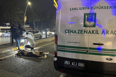 Şanlıurfa'da otomobilin çarptığı yaya hayatını kaybetti