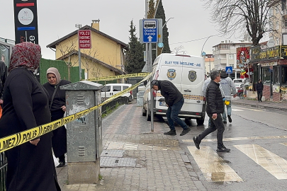 Kocaeli'de tren istasyonundaki kadın cinayetine ilişkin yeni detaylar