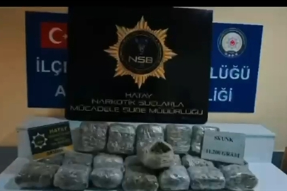 Hatay'da 11 kilo 200 gram skunk ele geçirildi; 1 tutuklama