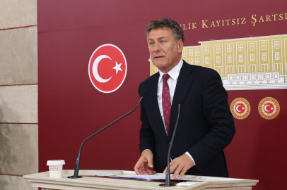 Sarıbal: Bursa İznik Gölü sanayi ve yapılaşma baskısıyla yok oluşa sürükleniyor