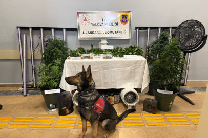 Yalova’da evi uyuşturucu serasına çeviren 2 zanlı tutuklandı