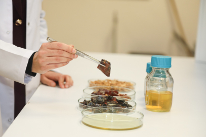 Bursa'da üniversite öğrencileri nişasta atıklarından ambalaj filmi üretti