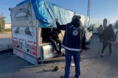 İğrenç kamuflaj: Hayvan dışkısının altından 19 yabancı çıktı!