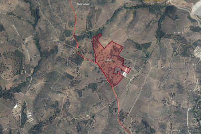 Bursa Gemlik'teki tapusuz dev arazi için hak iddia edenlere çağrı geldi