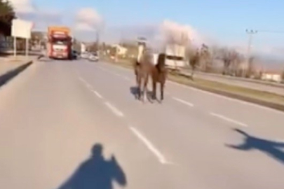 Çorum’da başıboş atlar trafiği tehlikeye attı