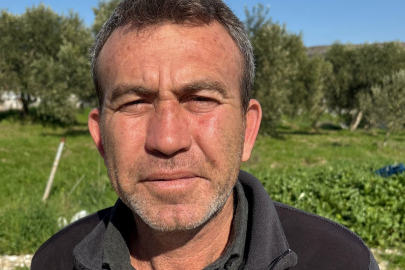 Manisa'da erken çiçek açan badem ağaçları üreticiyi tedirgin etti