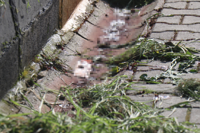 Sakarya'da önce eşini sonra kendini vurmuştu, defin tarihleri belli oldu